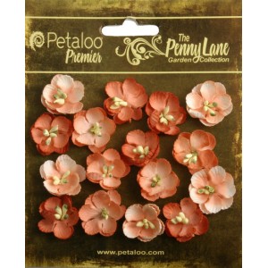 Penny Lane - Forget Me Nots - Antique Peach